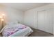 Bright bedroom features neutral walls, plush carpet, and a closet with sliding doors at 2691 Mango Light Ave, North Las Vegas, NV 89086