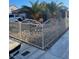 Well landscaped front yard featuring a decorative wrought iron fence and two palm trees at 3443 Citruscedar Way, North Las Vegas, NV 89032