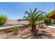 Beautiful desert landscaping features a mature palm tree and decorative rock accents at 494 Dart Brook Pl, Henderson, NV 89012