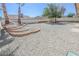 Backyard with a rock landscape, palm trees, and a privacy wall at 134 Saint Albans Dr, Henderson, NV 89015
