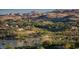 A view of a lake and homes set amidst mountains with tall palm trees in the foreground at 226 Piazzetta Dr, Henderson, NV 89011