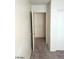 Bedroom featuring an open closet with neutral walls and carpet flooring at 5175 Palmyra Ave, Las Vegas, NV 89146