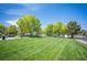 Well-maintained park with lush green grass and mature trees, perfect for recreation and relaxation at 7500 Peaceful Brook St, Las Vegas, NV 89131