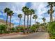 Community entrance with palm trees and attractive gate at 10525 Pine Glen Ave # 206, Las Vegas, NV 89144