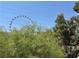 View of the city featuring lush greenery, trees, and a striking Ferris wheel in the background at 210 E Flamingo Rd # 215, Las Vegas, NV 89169