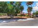 Charming home with mature trees, palm trees, and a long driveway leading to the attached two-car garage at 3341 Heavenly View Ct, Las Vegas, NV 89117