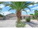 Charming single story home showcasing beautiful palm tree and desert landscaping at 4508 Rip Van Winkle Ln, Las Vegas, NV 89102