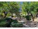 Private backyard featuring beautiful mature landscaping, desert rock and cozy seating area, perfect for relaxing outdoors at 10302 Cara Mia Ct, Las Vegas, NV 89135