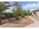 Lush backyard featuring desert landscaping, stone pathways, and mature trees at 2612 Dearport Ct, Henderson, NV 89052