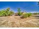 Spacious backyard featuring desert landscaping at 291 E Hickory St, Pahrump, NV 89048