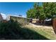 A view of a mostly bare backyard, with a fence, shed, and mature shade tree at 321 Princess Ave, North Las Vegas, NV 89030