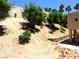 Building three is surrounded by desert landscaping and plants and is partially terraced at 3720 Desert Marina Dr # 33, Laughlin, NV 89029