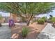 Backyard featuring desert landscaping, shade tree, playhouse, and covered patio at 452 Waterwheel Falls Dr, Henderson, NV 89015