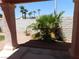 Covered patio with views to the xeriscaped backyard featuring palm trees and a brick wall at 613 Cervantes Dr, Henderson, NV 89014