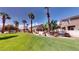 Expansive backyard with lush green grass and mature palm trees surrounding the property at 76 Stock Option St # 2, Henderson, NV 89074