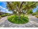 Landscaped park with walking path and mature trees offering shade and a beautiful community space at 76 Stock Option St # 2, Henderson, NV 89074
