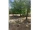 View of the spacious backyard featuring desert landscaping and mature trees providing ample shade at 1461 E Elderberry St, Pahrump, NV 89048