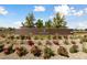 Beautiful community entrance with landscaped flowerbeds and a welcoming brick sign at 485 Pebble Run Ave, Henderson, NV 89011