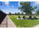 Picturesque dog park featuring lush green grass, seating and a secure fence, perfect for outdoor enjoyment at 485 Pebble Run Ave, Henderson, NV 89011