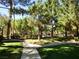 Community pathway leading to community pool with lush landscaping and mature trees at 9000 Las Vegas Blvd # 1250, Las Vegas, NV 89123