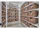 A walk-in pantry featuring ample shelving and storage baskets at 9046 Barium Rock Ave, Las Vegas, NV 89143