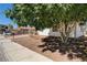 Street view of a well-kept single-Gathering home with a mature shade tree at 1620 Yellow Rose St, Las Vegas, NV 89108
