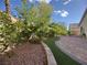 A beautifully landscaped backyard featuring artificial turf, trees, and a brick patio, ideal for outdoor enjoyment at 640 House Blend Ln, Henderson, NV 89052