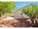 Backyard showcases a patio perfect for outdoor relaxation and mature trees at 6509 Alpine Winter Ct, Las Vegas, NV 89149