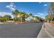 Community entrance street lined with palm trees and well-maintained landscaping at 680 Moonlight Stroll St, Henderson, NV 89002
