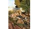 Picturesque yard with lush greenery, rock features, and a tranquil water element at 2920 Malibou Ave, Pahrump, NV 89048