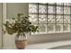 Close up of a plant near the tub with a block window at 2929 Haddon Dr, Las Vegas, NV 89134