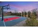 Private backyard basketball court with professional-grade equipment and ample space at 6056 Willow Rock St, Las Vegas, NV 89135