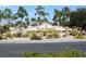 A welcoming Sun City Summerlin community entrance with meticulously maintained landscaping, plants, and trees at 10532 Sea Palms Ave, Las Vegas, NV 89134