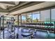 Weight room with an array of dumbbells, machines, and large windows overlooking palm trees and community at 151 Cliff Valley Dr, Las Vegas, NV 89148