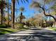 Inviting street scene with palm trees and manicured greenery leading into a serene neighborhood at 1725 Cypress Manor Dr, Henderson, NV 89012