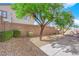 Spacious backyard featuring stone landscaping, a tall brick wall, and mature trees at 177 Rocky Star St, Henderson, NV 89012