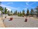 The backyard features pathways, landscaping, mature trees, and thoughtful design for outdoor enjoyment at 3581 Mallard Ave, Pahrump, NV 89048