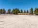 Large vacant lot with mature trees and partial fencing, ready for development or recreation at 3581 Mallard Ave, Pahrump, NV 89048