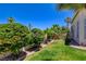 Backyard with green lawn, trimmed bushes and trees at 4835 Willow Glen Dr, Las Vegas, NV 89147