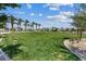 Expansive green lawn in community park, bordered by palm trees, against a blue sky backdrop at 6848 Sunflower Fields St, North Las Vegas, NV 89086