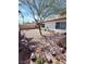 Wide view of a xeriscaped backyard showcasing desert landscaping with scattered rocks and a mature tree at 7123 Kenwood St, Las Vegas, NV 89147