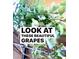 Healthy vines bearing fruit offering a taste of the property's homegrown goodness at 153 Via Di Mello, Henderson, NV 89011