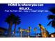 Enjoy a tranquil twilight view surrounded by illuminated palm trees from the comfort of your front door at 153 Via Di Mello, Henderson, NV 89011