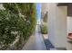 Modern walkway featuring privacy landscaping on both sides of the property at 2672 Mystere Ct, Las Vegas, NV 89117