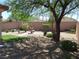 Expansive backyard featuring a water fountain, mature trees, and lush landscaping at 711 Golden Sedum Dr, Henderson, NV 89011