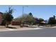 An inviting neighborhood scene showcasing well-maintained landscaping, mature trees, and a playground area at 711 Golden Sedum Dr, Henderson, NV 89011