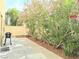 Backyard patio area featuring lush flowering plants and a barbecue grill at 7319 Burnt Umber St, Las Vegas, NV 89139