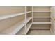Walk-in pantry featuring built-in shelving for optimal storage at 10761 Capesthorne Way, Las Vegas, NV 89135