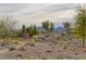 Well-maintained community trail meandering through desert landscaping and mountain views at 180 Native Stone St, Las Vegas, NV 89138