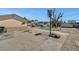 This large backyard features a basketball hoop and plenty of open space at 4835 Nevada Ave, Las Vegas, NV 89104